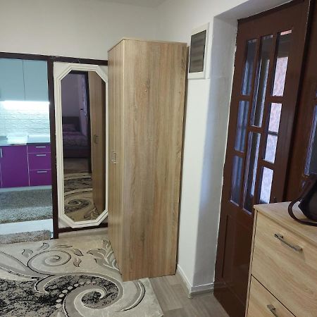 Lovely, Neat And Quite Apartment Dalia, Private Parking Saraybosna Dış mekan fotoğraf