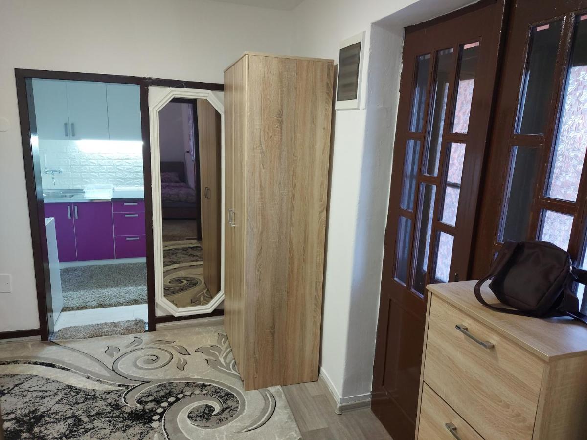 Lovely, Neat And Quite Apartment Dalia, Private Parking Saraybosna Dış mekan fotoğraf